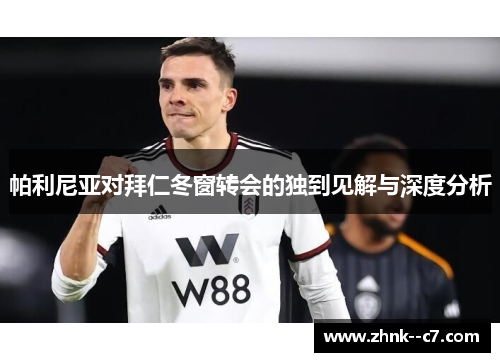帕利尼亚对拜仁冬窗转会的独到见解与深度分析 帕利尼亚对拜仁冬窗转会的独到见解与深度分析