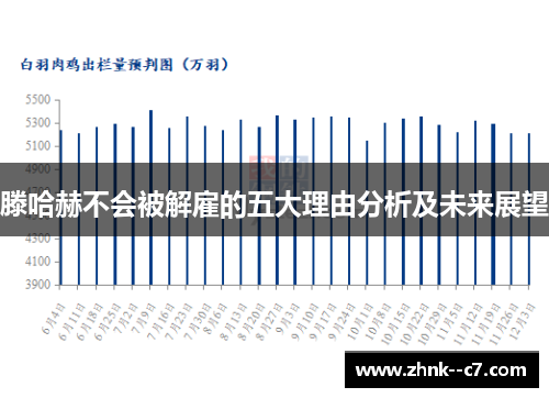滕哈赫不会被解雇的五大理由分析及未来展望