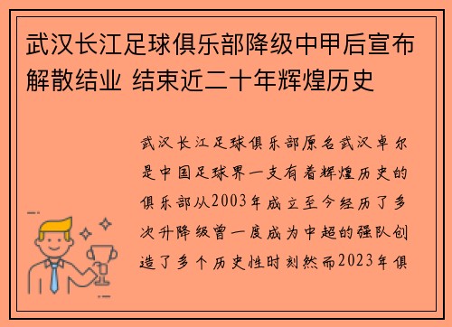 武汉长江足球俱乐部降级中甲后宣布解散结业 结束近二十年辉煌历史